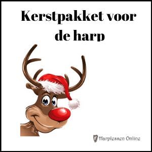 Kerst pakket harp